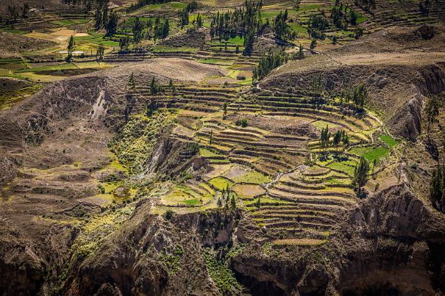 20 Colca Canyon.jpg